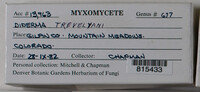 Image Associated With the Occurence
